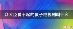 众大臣看不起的傻子电视剧叫什么