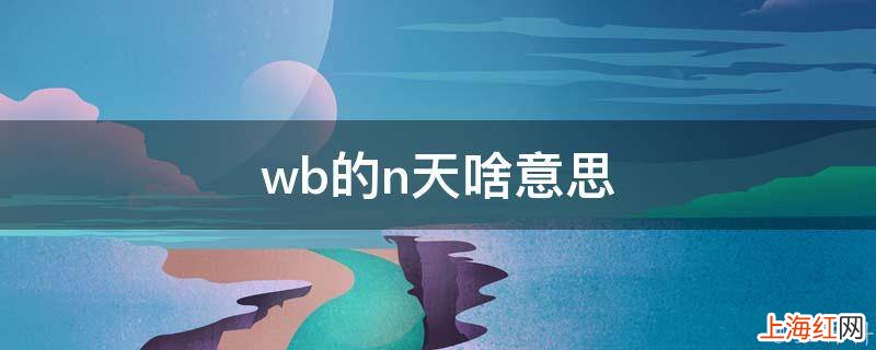 wb的n天啥意思