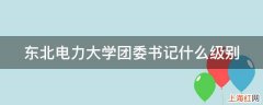 东北电力大学团委书记什么级别