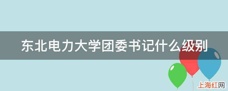 东北电力大学团委书记什么级别