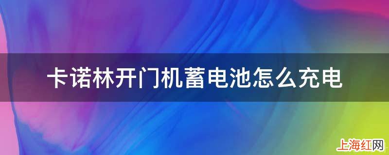 卡诺林开门机蓄电池怎么充电