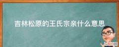 吉林松原的王氏宗亲什么意思