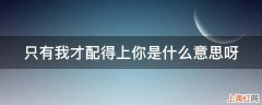 只有我才配得上你是什么意思呀