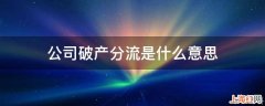 公司破产分流是什么意思