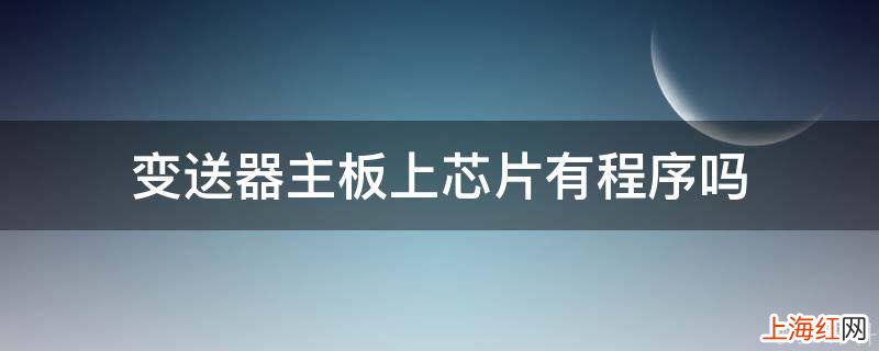 变送器主板上芯片有程序吗