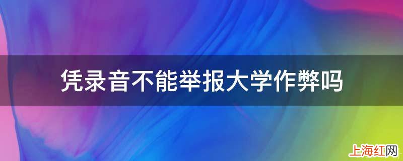 凭录音不能举报大学作弊吗