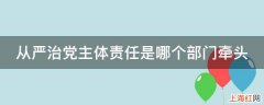 从严治党主体责任是哪个部门牵头