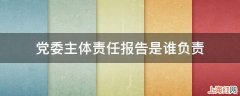 党委主体责任报告是谁负责