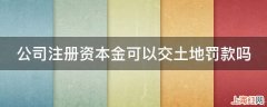 公司注册资本金可以交土地罚款吗