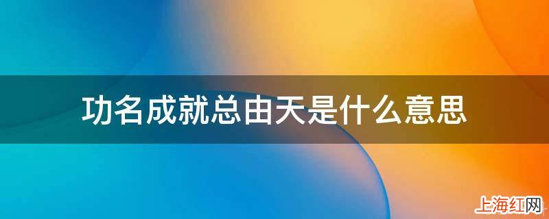 功名成就总由天是什么意思