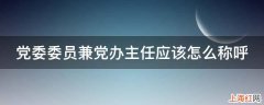 党委委员兼党办主任应该怎么称呼