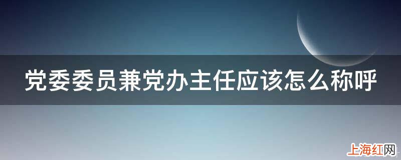 党委委员兼党办主任应该怎么称呼