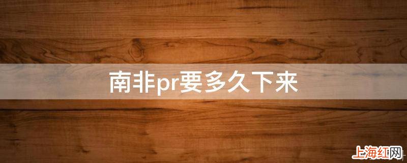 南非pr要多久下来