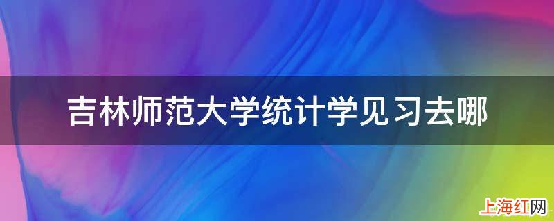 吉林师范大学统计学见习去哪