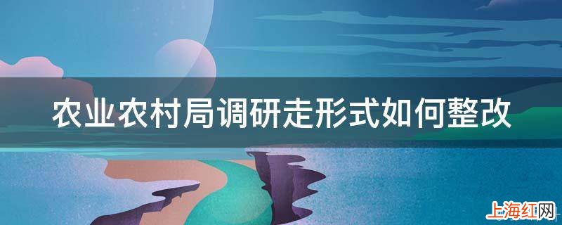 农业农村局调研走形式如何整改