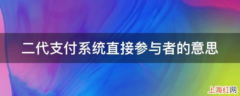 二代支付系统直接参与者的意思