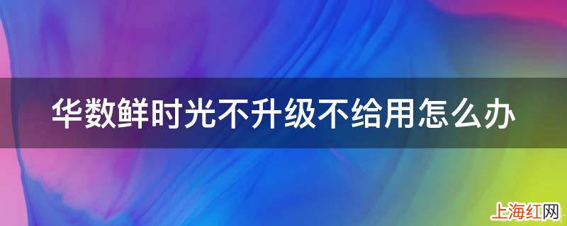 华数鲜时光不升级不给用怎么办