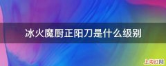 冰火魔厨正阳刀是什么级别