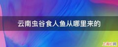 云南虫谷食人鱼从哪里来的