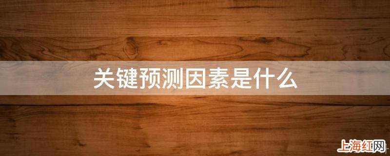 关键预测因素是什么