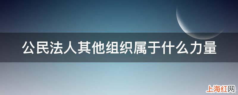 公民法人其他组织属于什么力量