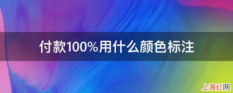 付款100%用什么颜色标注