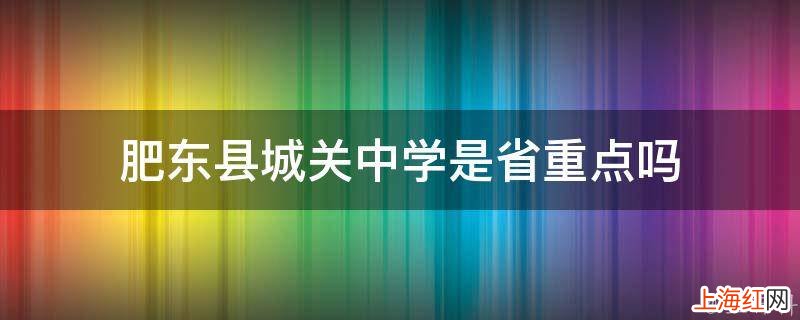 肥东县城关中学是省重点吗