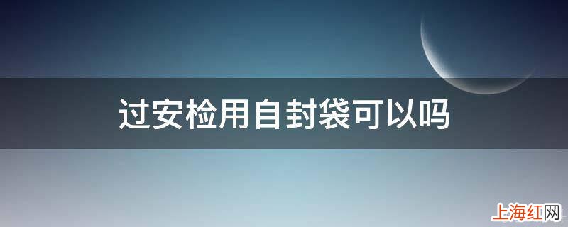 过安检用自封袋可以吗