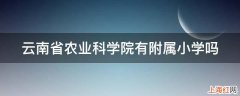 云南省农业科学院有附属小学吗