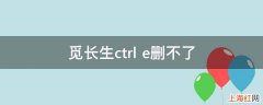 觅长生ctrl+e删不了