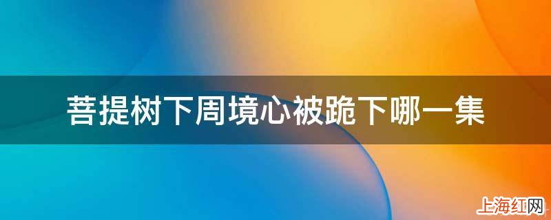菩提树下周境心被跪下哪一集