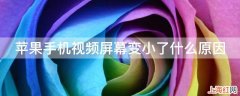 苹果手机视频屏幕变小了什么原因