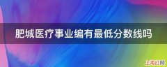 肥城医疗事业编有最低分数线吗