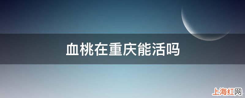 血桃在重庆能活吗