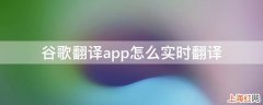 谷歌翻译app怎么实时翻译