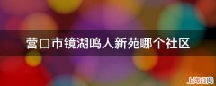 营口市镜湖鸣人新苑哪个社区