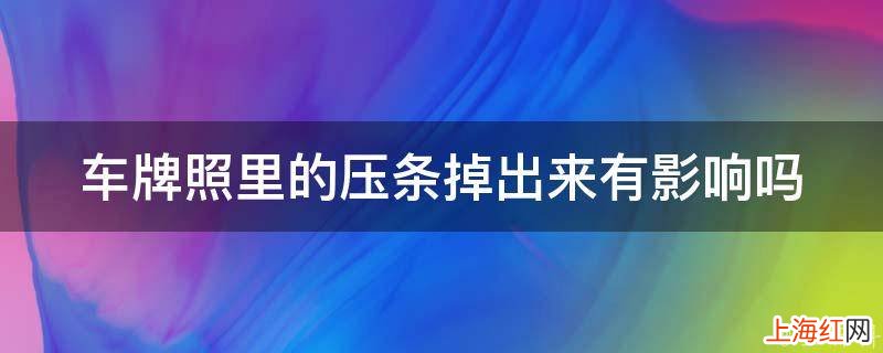 车牌照里的压条掉出来有影响吗