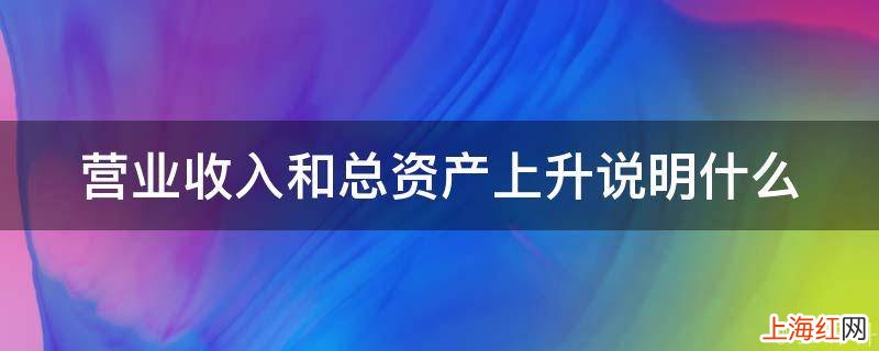 营业收入和总资产上升说明什么