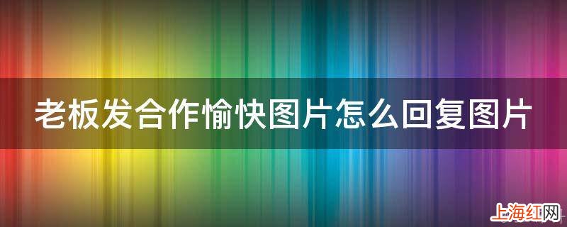 老板发合作愉快图片怎么回复图片
