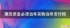 薄改资金必须当年采购当年支付吗