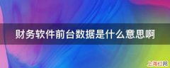 财务软件前台数据是什么意思啊