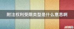 附注权利受限类型是什么意思啊