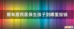 蔡甸居民医保生孩子到哪里报销