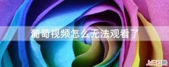 葡萄视频怎么无法观看了