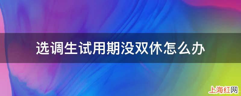 选调生试用期没双休怎么办