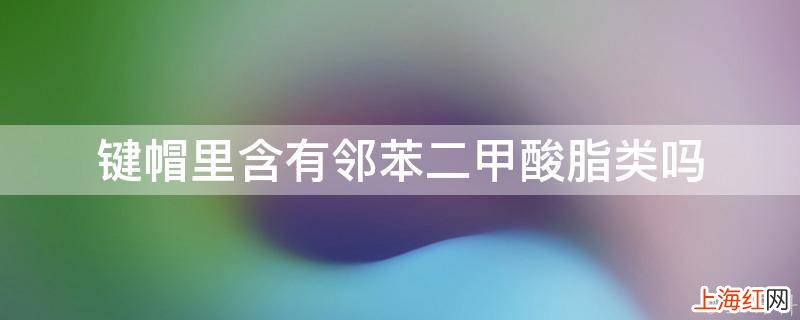 键帽里含有邻苯二甲酸脂类吗