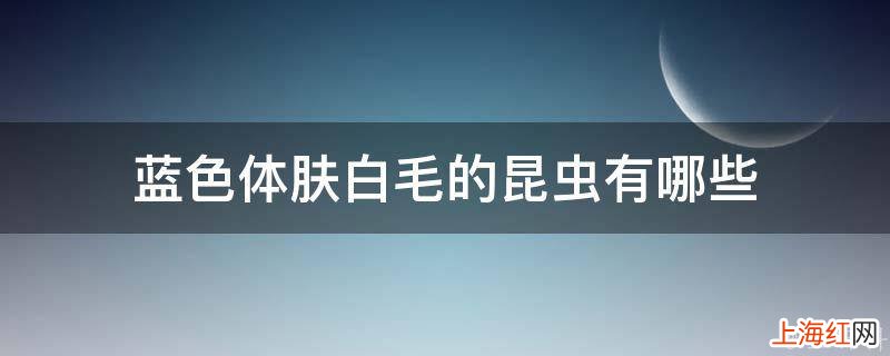 蓝色体肤白毛的昆虫有哪些