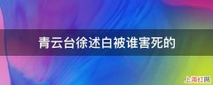 青云台徐述白被谁害死的