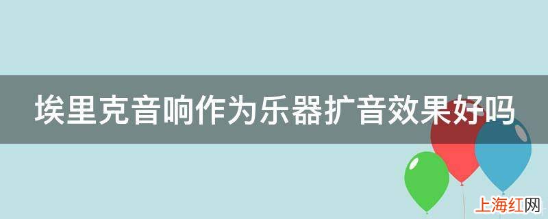 埃里克音响作为乐器扩音效果好吗