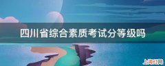 四川省综合素质考试分等级吗